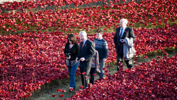 伦敦塔外纪念一战士兵的罂粟花海就快消失了，没去的快去