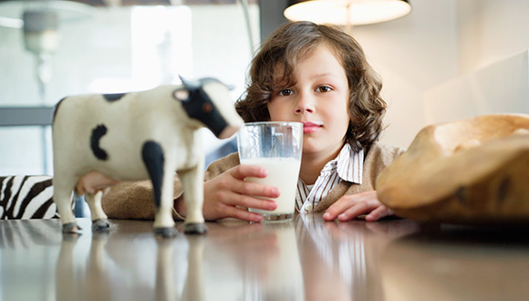 伊利股份,食品安全