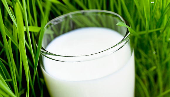 蒙牛不甘心只卖奶 露露、椰树们要小心了！