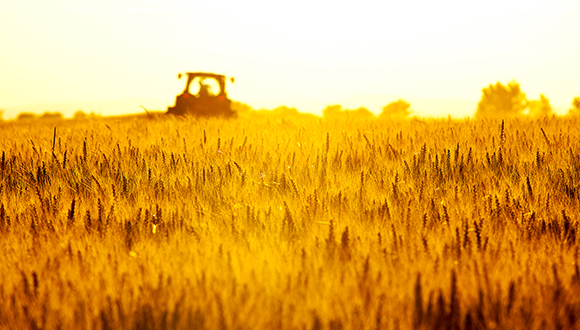 中央农村工作会议将聚焦“新土改”