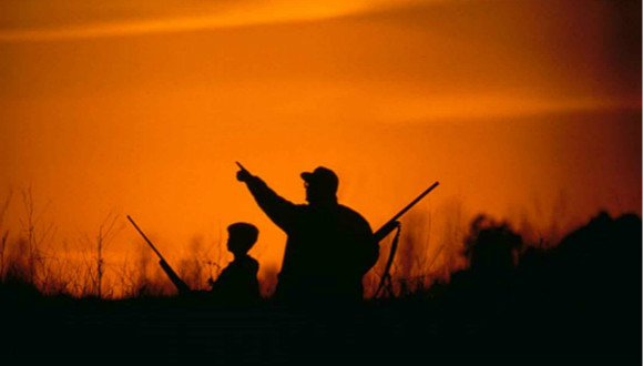 狩猎,枪支,绿色种子计划,美国宪法第二修正案