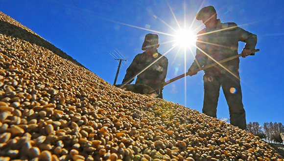中储粮河南腐败窝案,粮官被查