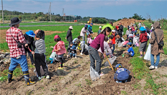 农业，日本经济改革
