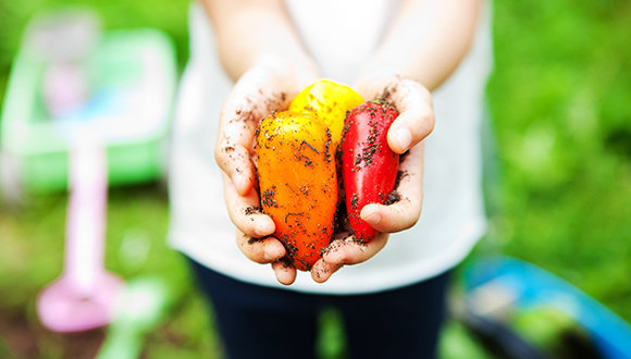 新一轮土地改革,土地确权登记颁证