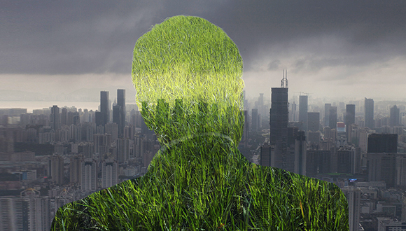 京能电力,京煤集团,北京能源集团