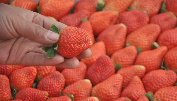 财经速递,通胀,CPI,PPI