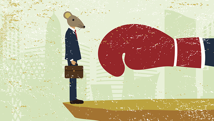 证监会叫停,汇添富,嘉实