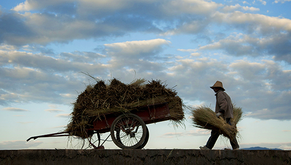 粗放型向集约型发展转变,中央一号文件关注“三农”,推进农村土地制度改革试点