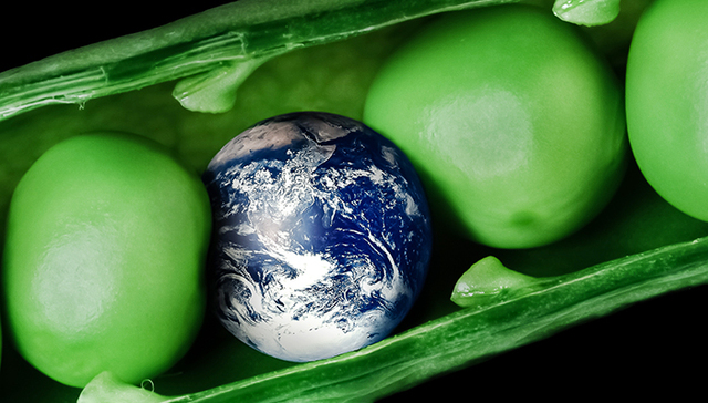 淘宝用无人机送货,Twitter开启广告大招模式