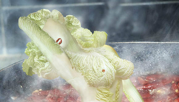 艺术,创意,白菜