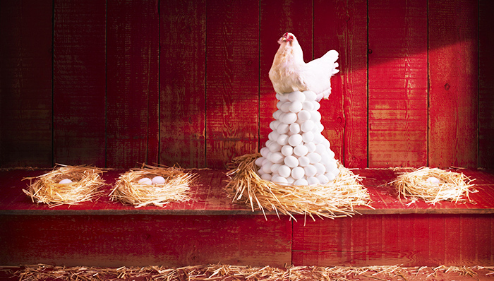 新兴产业板块个股强势上涨