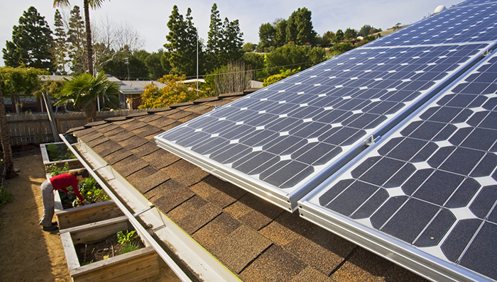 苹果要建太阳能农场