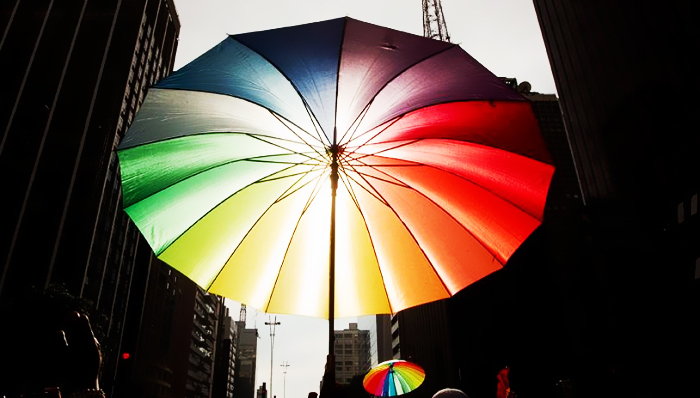 淘宝送同志去美国结婚,情人节营销计划