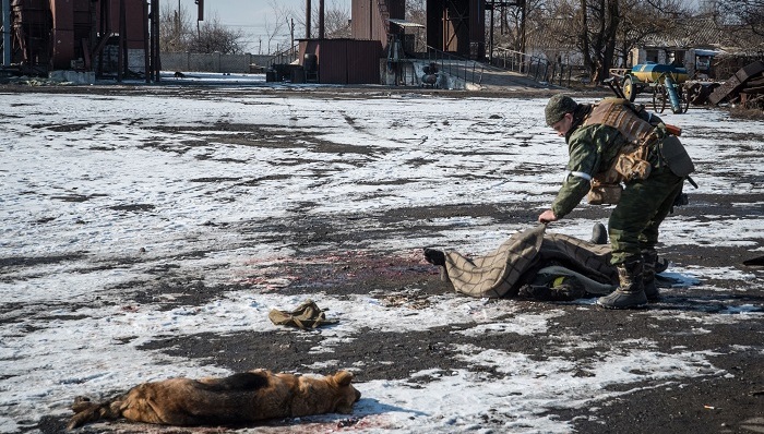停火,杰巴利采沃
