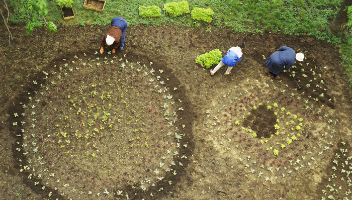 民革提案关注土改,农地承包权确权