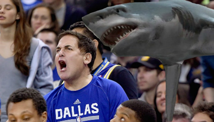 鲨卷风,马克·库班,创智赢家