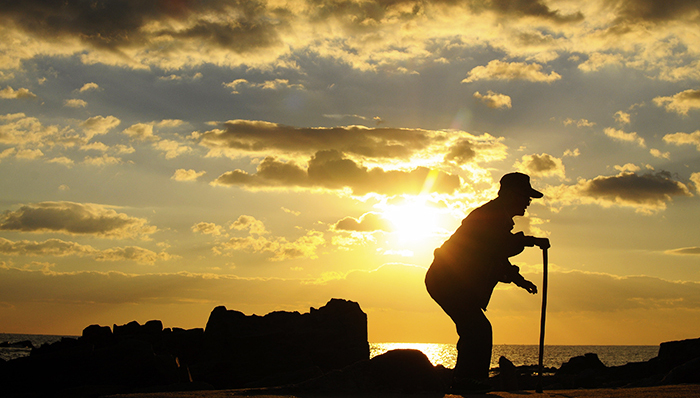 渐进式退休方案预计2017年推出