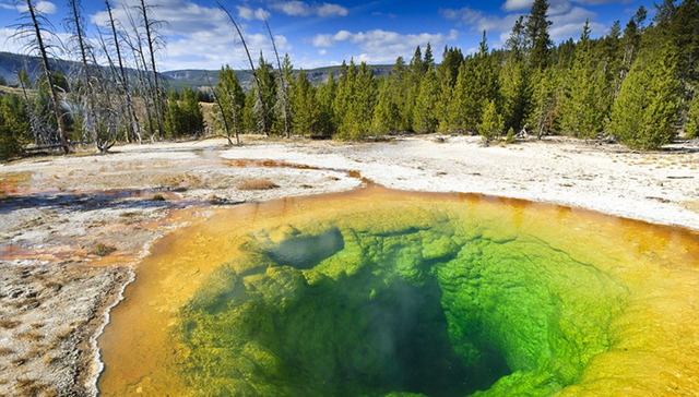 黄石国家公园,,牵牛花池,,Morning,Glory
