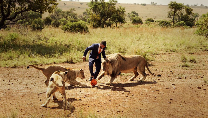 旅游,,非洲,,贝宁,,科特努,,摩的,,动物园,,飞机,,现代生活