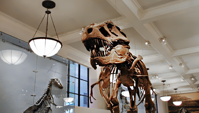 美国博物馆努力迎合中国游客