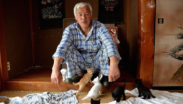 日本,福岛,核事故,动物福利