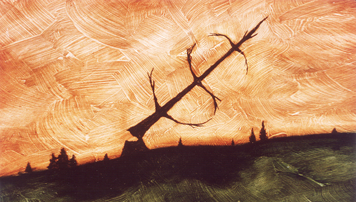 国家停止天然林商业采伐