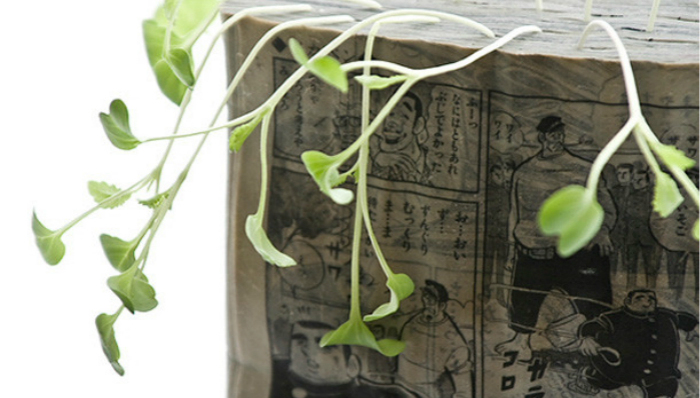 创意,漫画,,Koshi,Kawachi,河地贡士,漫画农场