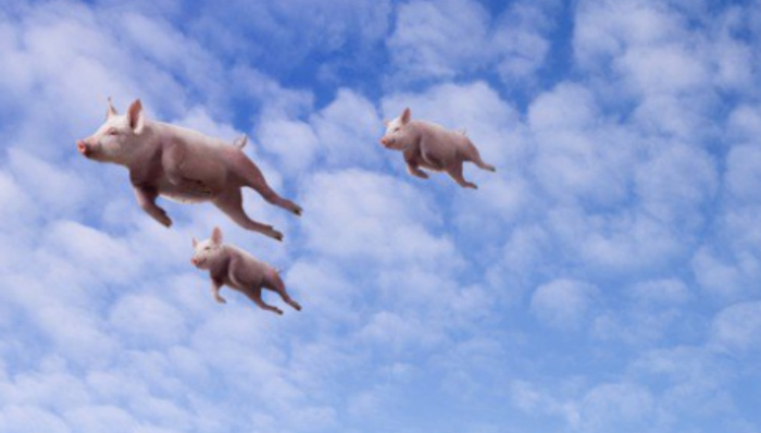 风口,科技,中国IT领袖峰会,马化腾,李彦宏,杨元庆,腾讯,百度,联想,小米,雷军