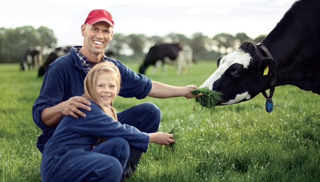 菲仕兰合资获批