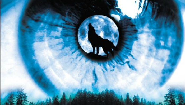 狼性文化,狼图腾,创业,李焜耀,郎咸平,明基