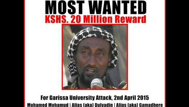 恐怖袭击,青年党,肯尼亚,穆斯林,伊斯兰