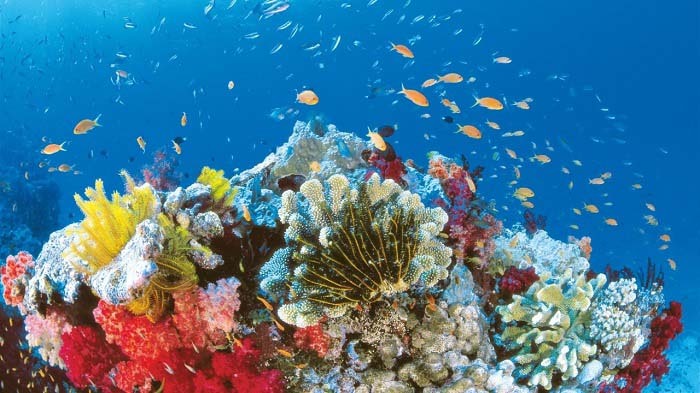 澳大利亚,煤炭,生态环境