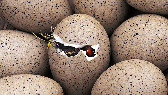 产业资本瞄准中小型券商