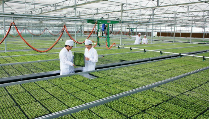 农村电商,互联网+三农,商业模式