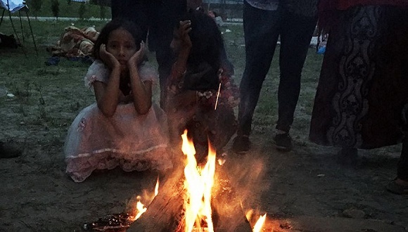 尼泊尔地震,经济损失