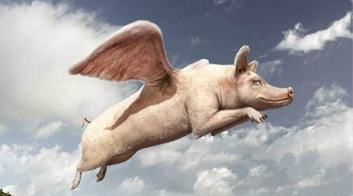 资本风口论,创业者,产品