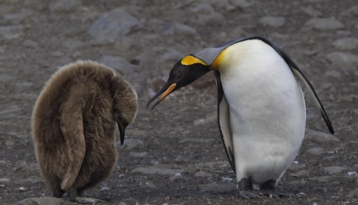 盖特纳,保尔森,鲁宾,美国财长
