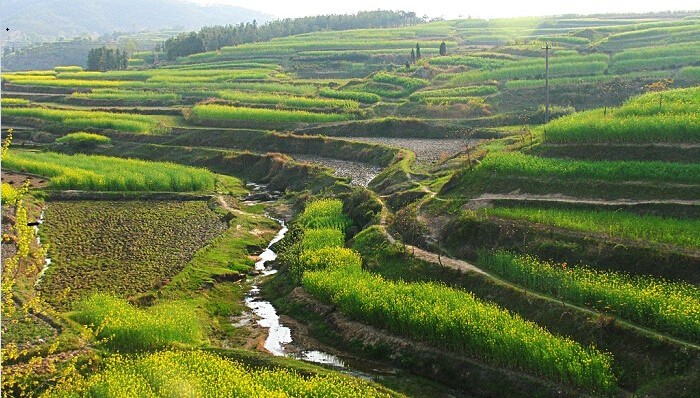 国土资源部,用地,违法违规
