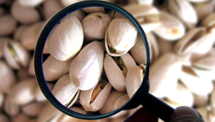 开心果,伊朗,美国