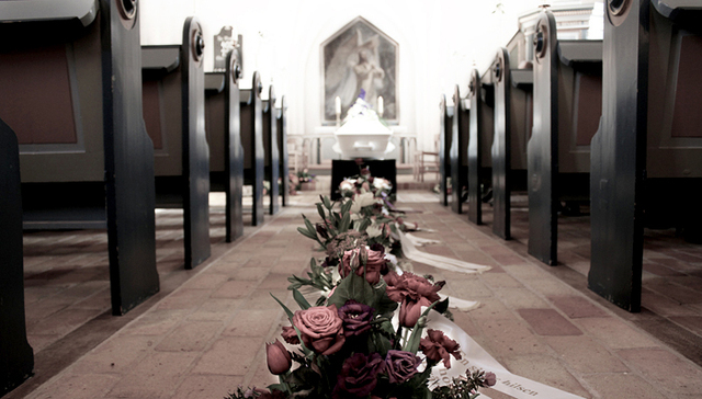 死亡,,尸体,,腐烂,,分解,,微生物,,生态系统,,自然,,苍蝇