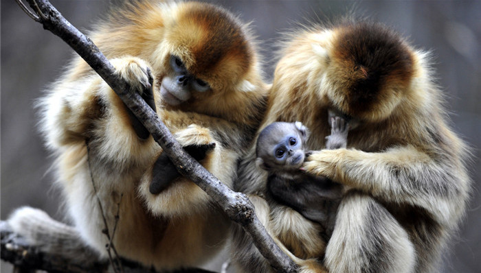 行为经济学，政策制定