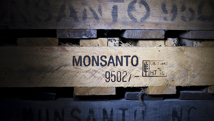 孟山都收购先正达失败,