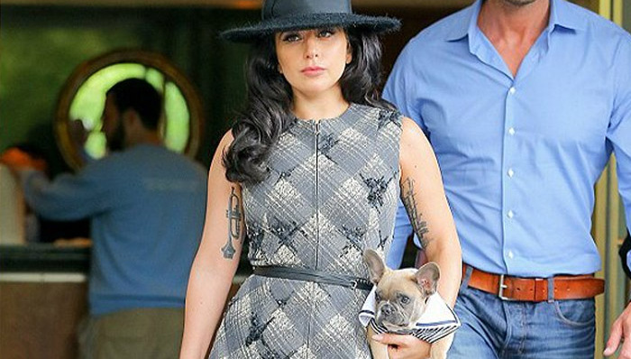 承认了！嘎嘎姐带潮狗逛街 承认婚后将随夫姓