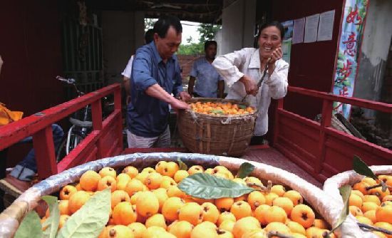 枇杷进城,京东,阿里巴巴,农村电商,模式