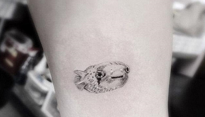 纹身也不能表尽哀思 麦莉为死去的宠物鱼高歌一曲