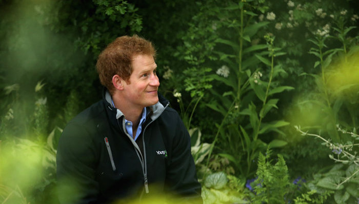 为什么哈利王子不找女朋友