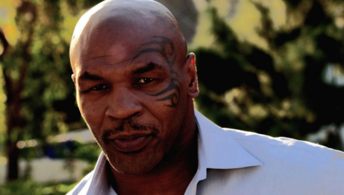 甄子丹,叶问,泰森,泰森加盟叶问3