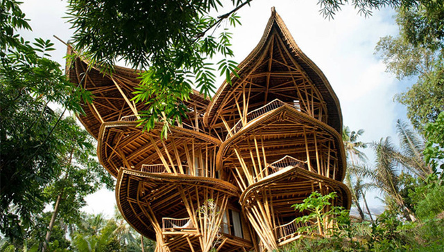 印尼,巴厘岛,竹子,建筑,设计