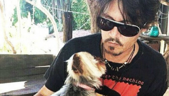 德普飞抵洛杉矶 将可能因宠物问题入狱​