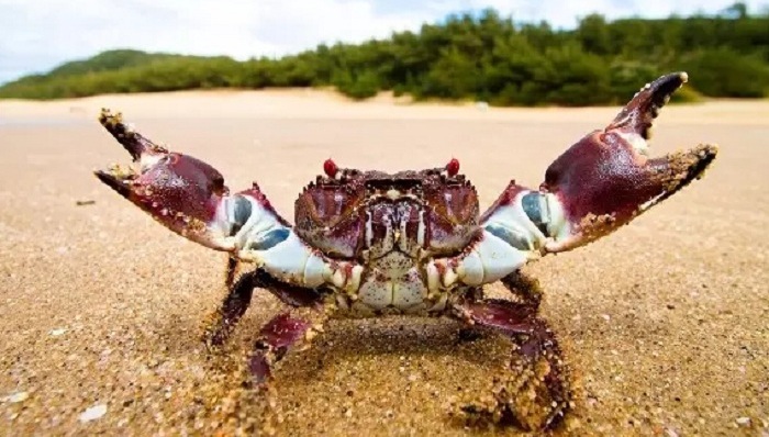 情商低的人也可以是神一般的队友